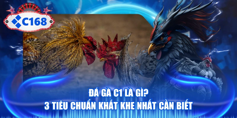 Đá Gà C1 Là Gì? 3 Tiêu Chuẩn Khắt Khe Nhất Cần Biết